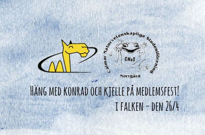 10170822_634817303238430_1507262410_n